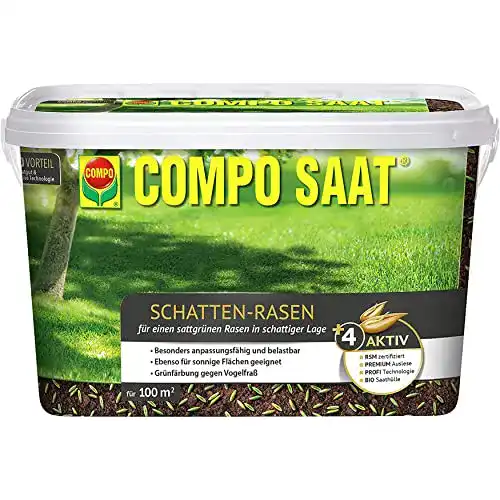 Schattenrasen Compo Saat 2 kg für schattige Gartenbereiche