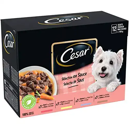 Cesar Hundefutter Mahlzeit 48 Frischebeutel Packung
