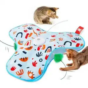 Katzenspielzeug (elektrisch)