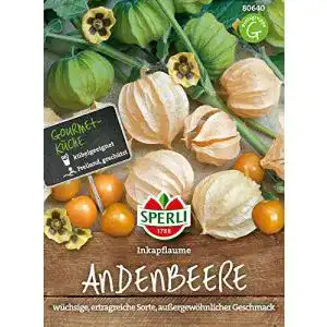 Physalis-Samen von Sperli 80640 für Inkapflaume
