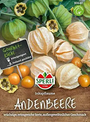 Physalis-Samen von Sperli 80640 für Inkapflaume