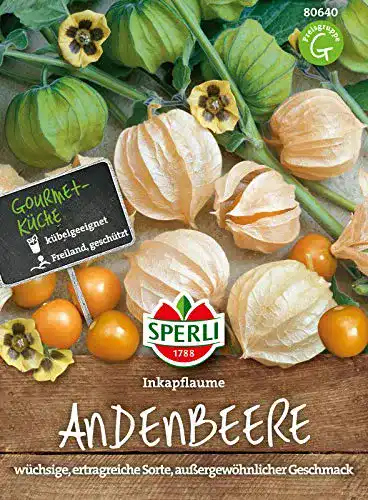 Physalis-Samen von Sperli 80640 für Inkapflaume