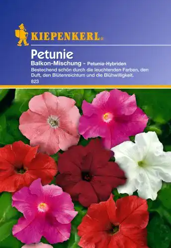 Petunien-Samen von Sperli für Balkonpflanzung