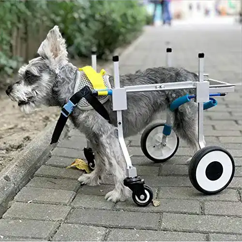 Hunderollstuhl Sobotoo für kleine Hunde, verstellbar und leicht