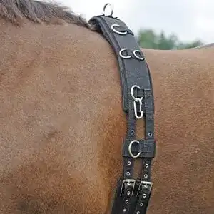 Longiergurt
