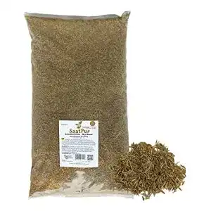 Schattenrasen SaatPur Rasensamen 2,5kg mit Dürreresistenz
