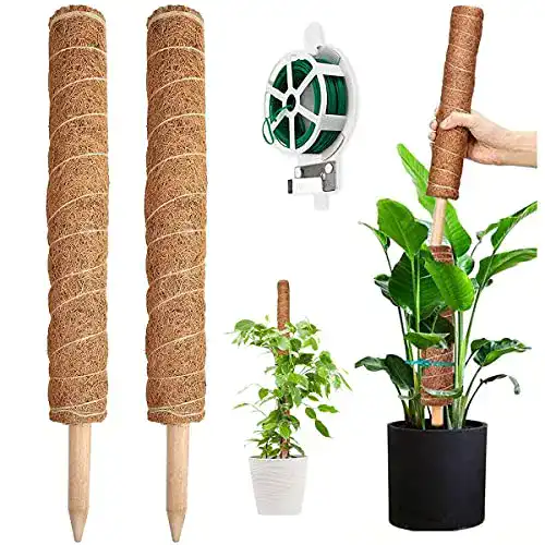 Moosstab Yaungel Pflanzenstütze 41 cm, 2 Stück Rankhilfen aus Kokosfaser