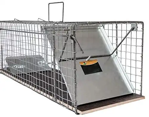 Waschbärfalle 116x26x28 cm für Katzen und Marder – Wetterfest und Robust