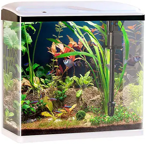 Nano-Aquarium Sweetypet Komplettset für Einsteiger in die Aquaristik