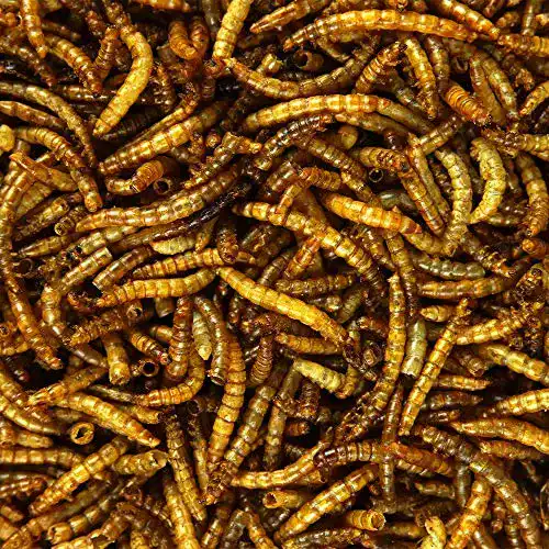 Getrocknete Mehlwürmer 1 kg für Wildvögel – Naturprodukt