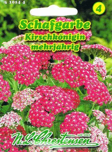 Schafgarbe Samen Chrestensen Kirschkönigin rot
