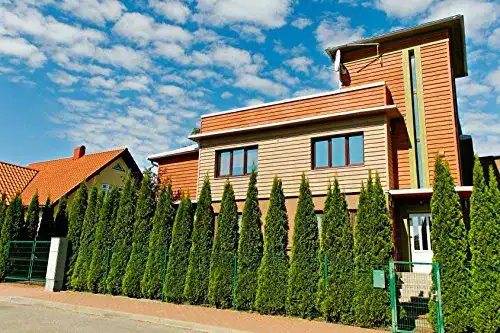 Thuja Smaragd Lebensbaum von Mueller Muenchehof Pflanzen GmbH