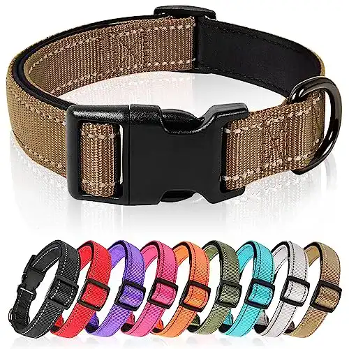 Hundehalsband für Welpen aus Nylon mit reflektierenden Elementen