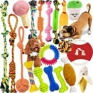 Hundespielzeug Maisitoo 19-teiliges Set für Hunde