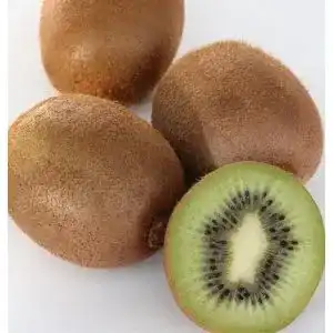 Kiwibaum ‚Solo‘ – Selbstfruchtbare Kiwi für den Garten