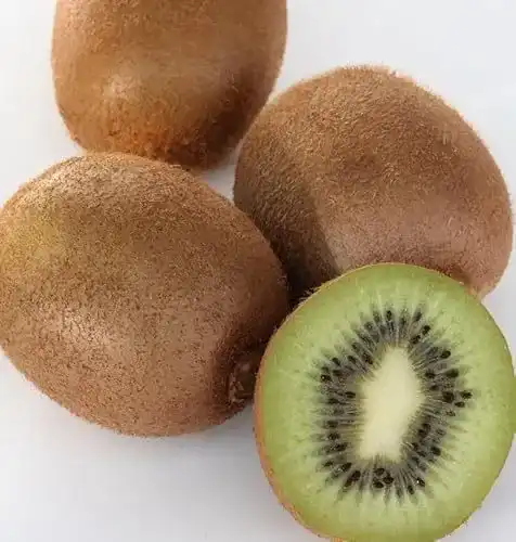 Kiwibaum ‚Solo‘ – Selbstfruchtbare Kiwi für den Garten