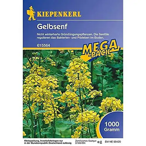 Senfsamen Kiepenkerl Gelbsenf 1 kg für Gründüngung