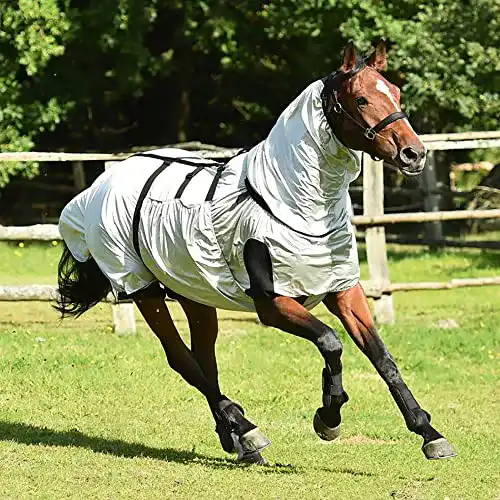 Ekzemerdecke für Pferde von Busse mit 125 cm Rückenlänge