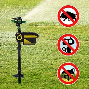 Wasserstrahl-Tiervertreiber Woqlibe für effektiven Tierschutz