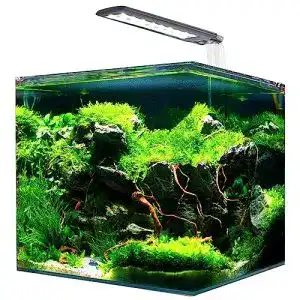 60-Liter Aquarium Amtra Nanotank System 60 mit LED und Filter