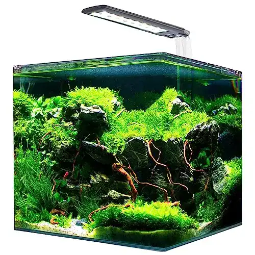 60-Liter Aquarium Amtra Nanotank System 60 mit LED und Filter