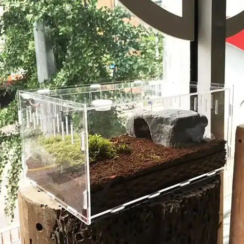 Terrarium Vinnykud Mini Transportbox für Reptilien und Fütterung