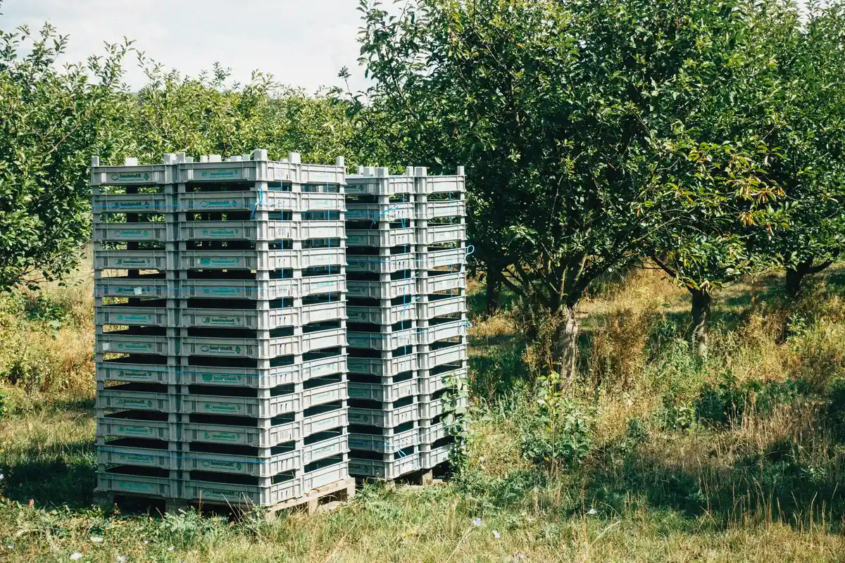 Fleischerkisten - Fleischerkisten 2