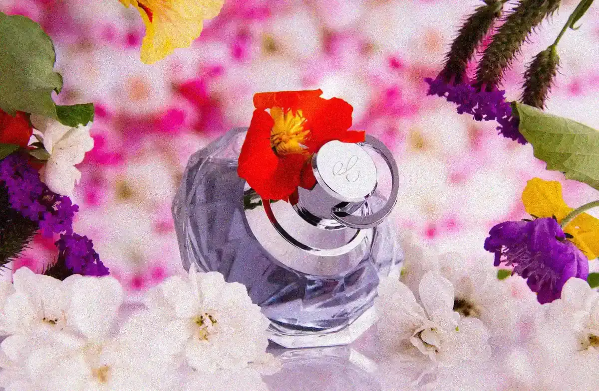 Parfum Damen - Parfum Damen