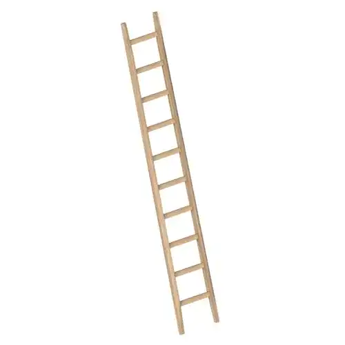 Anlegeleiter Layher 1036010 aus Fichtenholz mit 10 Sprossen