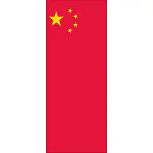 Flagge China 120 g/m² 300 x 120 cm von Flaggenmeer