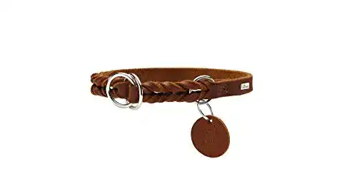 Erziehungshalsband Hunter Solid Education für Hunde