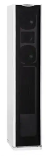 Quadral Lautsprecher Platinum M50 – Leistungsstark und vielseitig