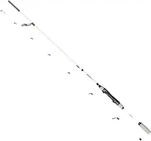 Hechtrute FISHN PredatorOne 2,40m mit 20-80g Wurfgewicht
