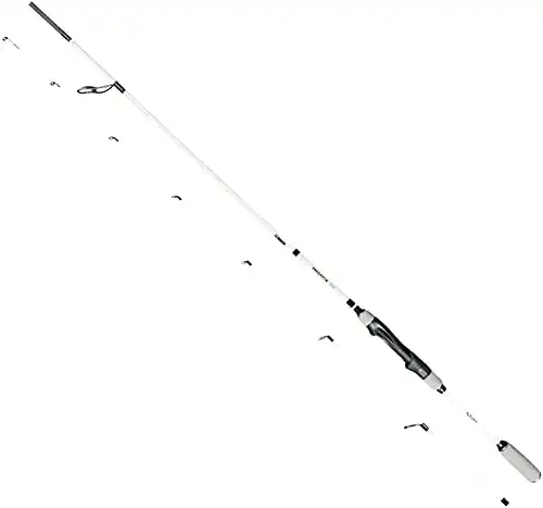 Hechtrute FISHN PredatorOne 2,40m mit 20-80g Wurfgewicht