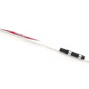 Shimano Vengeance Beach Tele Brandungsrute 4,20m 100g