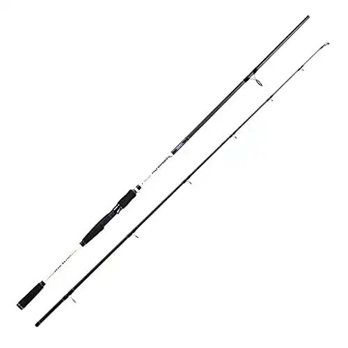 Hechtrute Jenzi Xperanza 30-90 g 2,70 m für verschiedene Fischarten