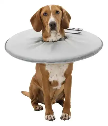 Trixie Halskrause für Hunde Schutzkragen Größe L 4649 cm