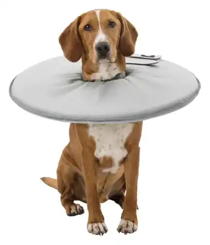 Trixie Halskrause für Hunde Schutzkragen Größe L 4649 cm