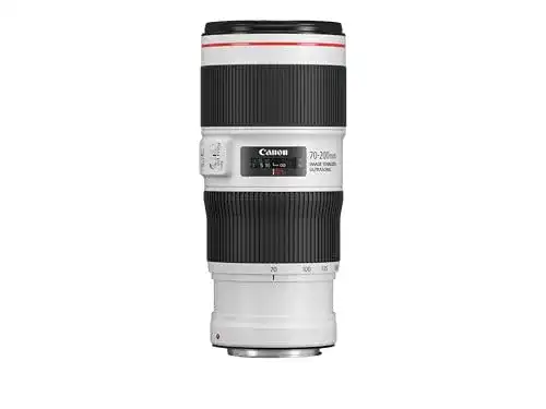 Canon EF 70-200mm F4L IS II USM Objektiv für verschiedene Anwendungen
