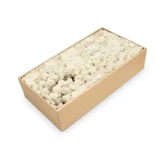 Islandmoos Nadeco Natur 500g für kreative Projekte und Dekoration