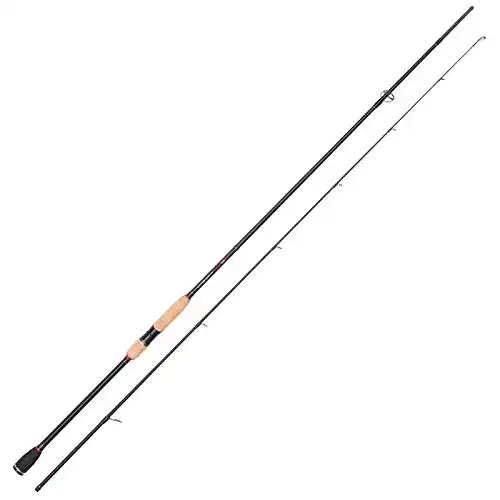 Hechtrute Jackson Angelrute Profi Spinnrute für Zander und Raubfischangeln