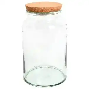 Flaschengarten aus Glas von Esschert Design AGG69, halboffene Terrarienflasche