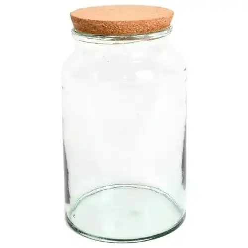 Flaschengarten aus Glas von Esschert Design AGG69, halboffene Terrarienflasche
