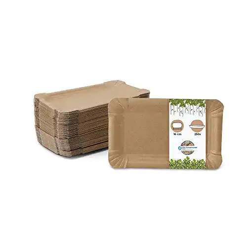BIOZOYG 250 Eckige Pappteller 10×16 cm aus nachhaltiger Forstwirtschaft