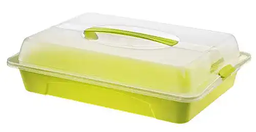 Kuchenbehälter Rotho Cool & Fresh Partybutler mit Kühlfunktion