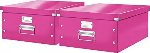 Aufbewahrungsbox Leitz, große Aufbewahrungs-/Transportbox