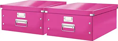 Aufbewahrungsbox Leitz, große Aufbewahrungs-/Transportbox