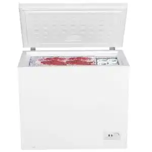 PKM Gefriertruhe FROSTER GT 200.2 mit 198 Litern Nutzinhalt