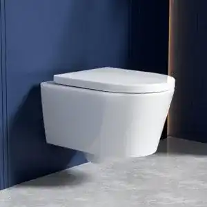 Tiefspüler Rainsworth Spülrandloses Wand-WC mit Absenkautomatik