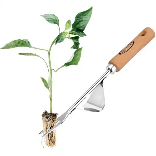 Unkrautstecher aus Edelstahl mit ergonomischem Holzgriff